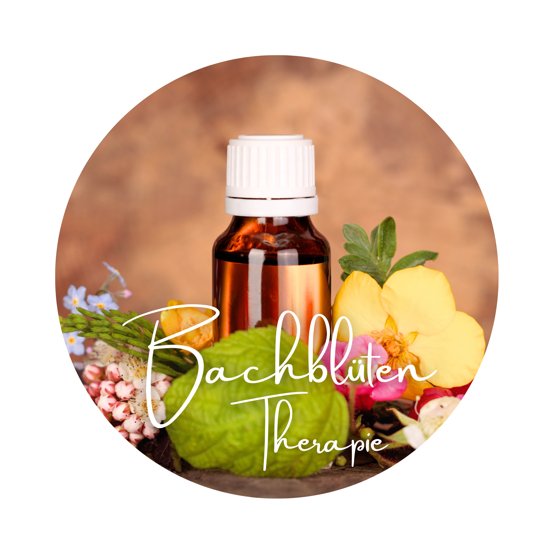 Bachblüten Therapie im Allgäu